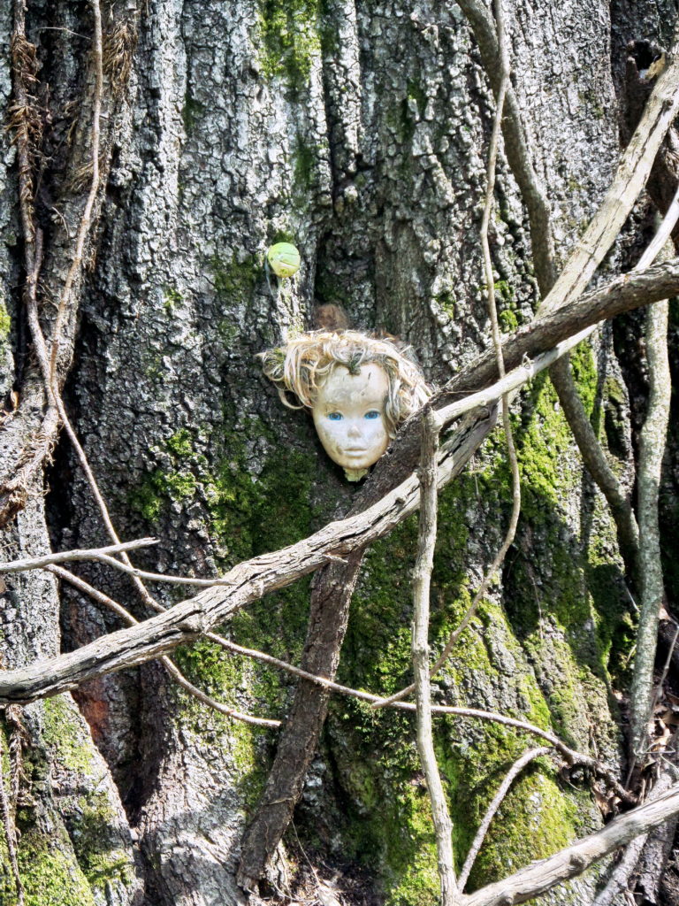 Doll’s Head Trail (Atlanta, GA)